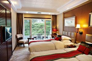 Yangtze Gold No.5 Cruise-picture