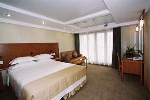 Interstellar Navigation Satellite Cruise-deluxe suite